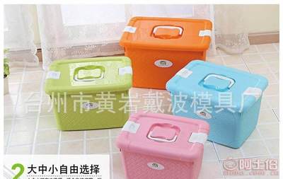 【一諾廠家直銷多彩簡約有蓋塑料糖果色手提收納箱多功能編織整理箱】臺州市黃巖戴波模具廠 - 產(chǎn)品庫