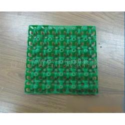 臺(tái)州市雞蛋批發(fā) 雞蛋供應(yīng) 雞蛋廠家 