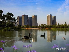 特色城市風貌如何塑造 臺州山海水城 美麗計劃 告訴你