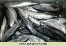鰹魚冷凍粗加工產(chǎn)品 - 臺州億利達(dá)水產(chǎn)專業(yè)供應(yīng)